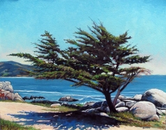 Tree with shadow at Pebble Beach